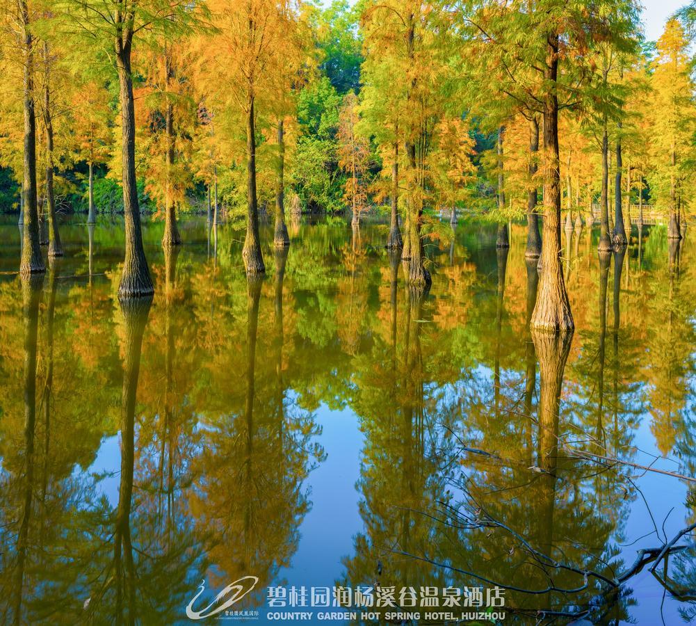 Country Garden Hot Spring Hotel Huizhou Huizhou  Exterior photo